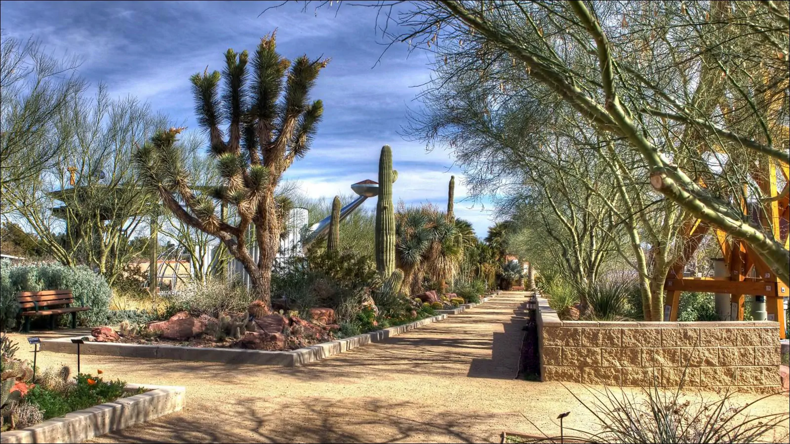 Ботанический сад в Лас-Вегасе