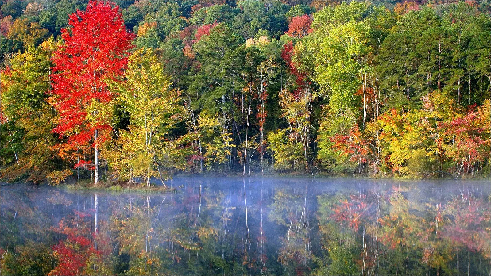 Осенью на севере Алабамы