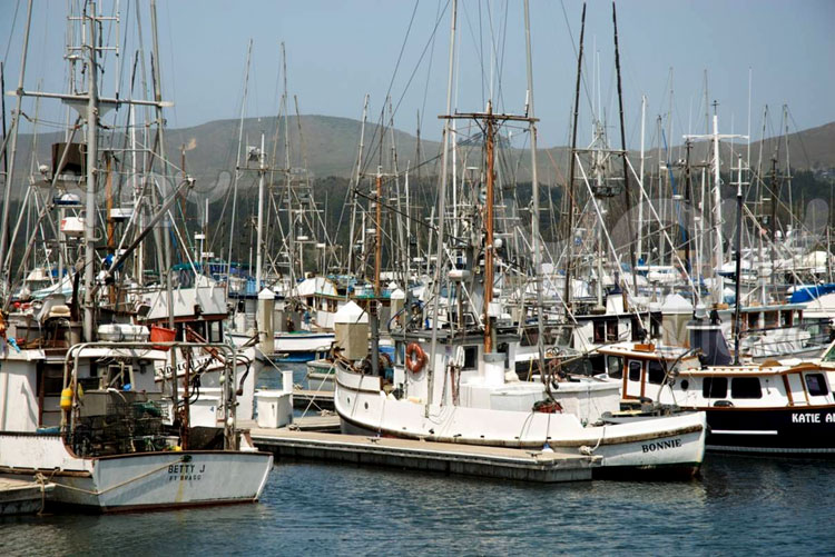 Рыболовецкие суда у побережья Калифорнии