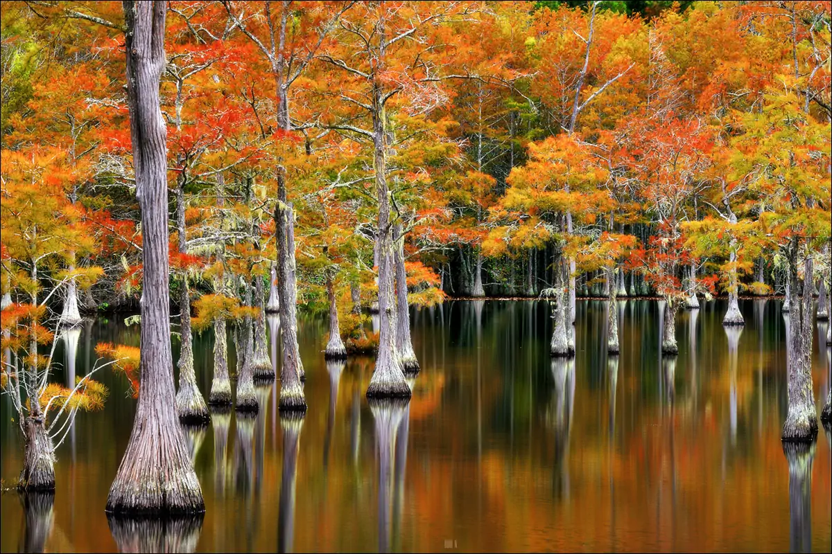 Осенью в Джорджии