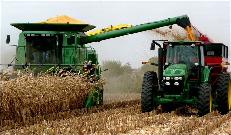 Уборка кукурузы в штате Айова