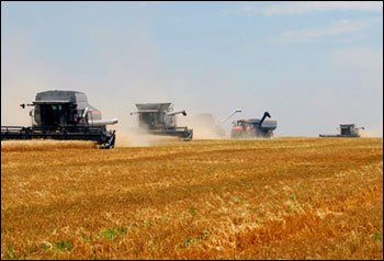 Уборка пшеницы в Канзасе