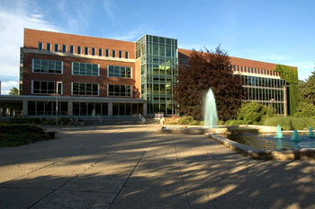 Университет штата Мичиган