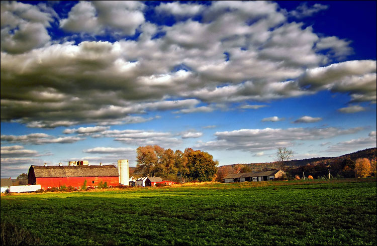 Ферма в Нью-Джерси