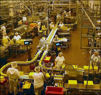 Сырная фабрика в Орегоне