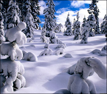 Зима в Орегоне
