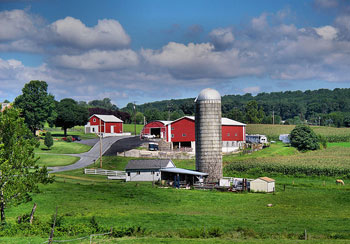 Ферма в Пенсильвании